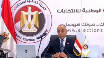 19 دائرة في جولة الإعادة.. ضوابط محددة لعملية الفرز